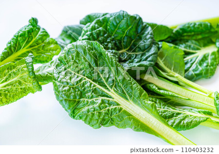 Winter vegetables: Chijimi Komatsuna 110403232