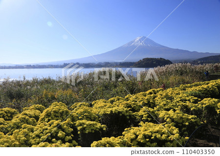 Fuji from the bank of Kawaguchiko 110403350