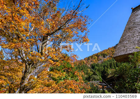 岐阜縣白川村世界遺產白川鄉的秋景 110403569