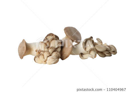 PNG, Set of peeled fresh mushrooms, isolated on white background 110404967