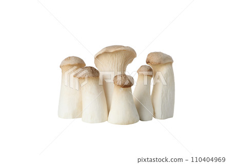 PNG, Set of peeled fresh mushrooms, isolated on white background 110404969