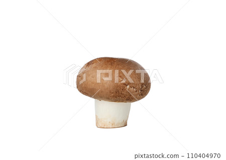 PNG, Whole fresh champignon, isolated on white background PNG, Whole fresh champignon, isolated on white background 110404970