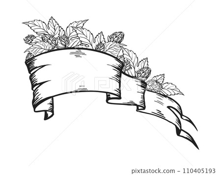 vector illustration of vintage old banner ribbon for text with hop plant, leaf, bud, cone, hand drawn sketch of Oktoberfest theme, black and white illustration of beer festival on white background 110405193