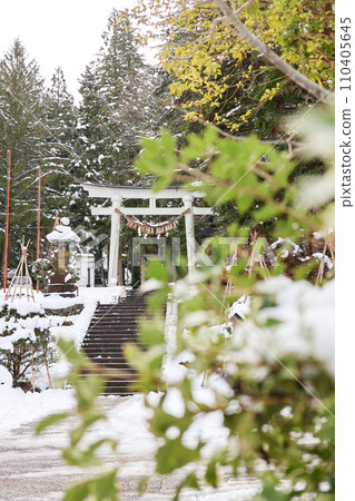 被雪覆蓋的鳥居和神社參道 被雪覆蓋的鳥居和神社參道 110405645