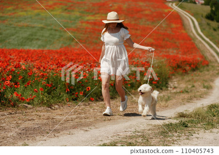 woman with dog. Happy woman walking with white dog the road along a blooming poppy field on a sunny day, She is wearing a white dress and a hat. On a walk with dog 110405743
