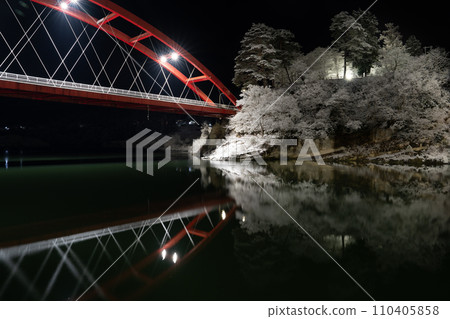 Zuikoji Bridge illuminated in winter and Zuikoji Park in silver 110405858