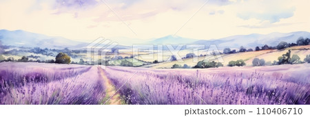 Blooming fields of purple lavender 110406710