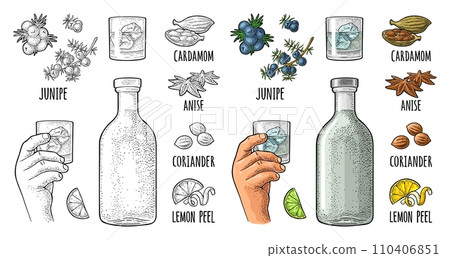 Bottle gin, lime, anise, cardamom, lemon, coriander, juniper. Vintage vector engraving Bottle gin, lime, anise, cardamom, lemon, coriander, juniper. Vintage vector engraving 110406851