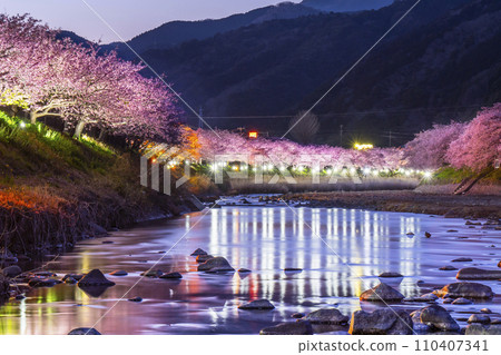 春天的河津町夜景-河津河畔美麗的河津櫻花【靜岡縣】 春天的河津町夜景-河津河畔美麗的河津櫻花【靜岡縣】 110407341