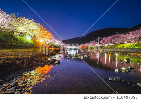 河津町夜景：河津河畔美麗的河津櫻花【靜岡縣】 110407355