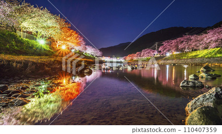 河津町夜景：河津河畔美麗的河津櫻花【靜岡縣】 110407359