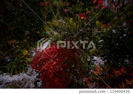 snowy garden, winter, quiet time 110408436