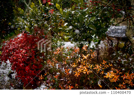 冬季花園,雪花飄落的聲音,色彩的層次感 冬季花園,雪花飄落的聲音,色彩的層次感 110408470
