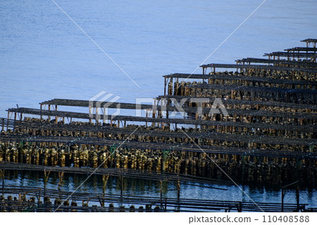 [江田島] 漂浮在瀨戶內海的牡蠣筏 110408588