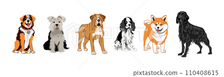 A set of dogs of different breeds. Vector illustration on a white background of a Setter, spaniel, terrier, mastiff, shiba inu, akita. A set of dogs of different breeds. Vector illustration on a white background of a Setter, spaniel, terrier, mastiff, shiba inu, akita. 110408615