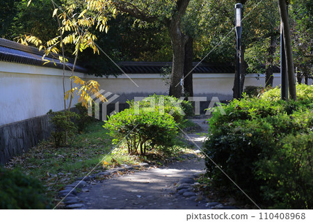 the green foliage outside the Bunkyo ku Nov 29 2023 110408968