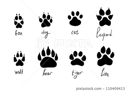 Animal paw prints set, vector different animals footprints. Dog fox wolf bear cat lion leopard tiger Animal paw prints set, vector different animals footprints. Dog fox wolf bear cat lion leopard tiger 110409413