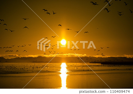 sunrise and cancer 110409474