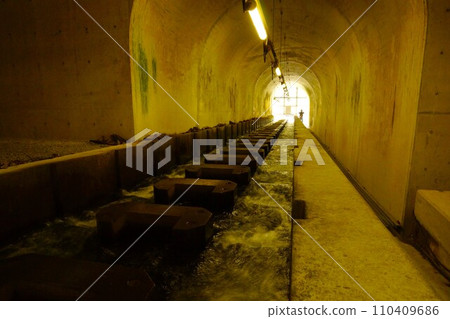 Fish path of white circle dam 110409686