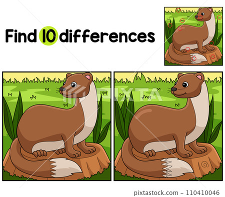Weasel Animal Find The Differences  110410046