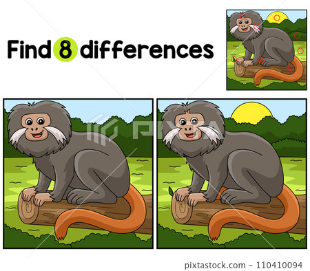 Tamarin Animal Find The Differences Tamarin Animal Find The Differences 110410094