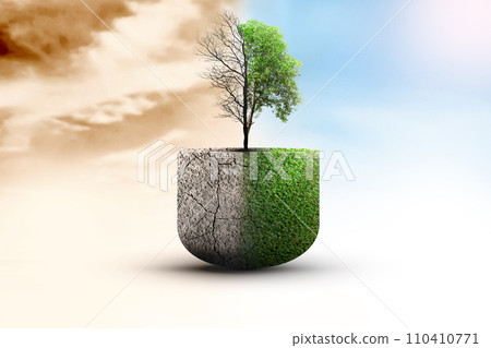 The difference between drought trees to growing trees on the ground with different sky 110410771