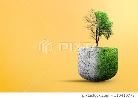 The difference between drought trees to growing trees on the ground 110410772