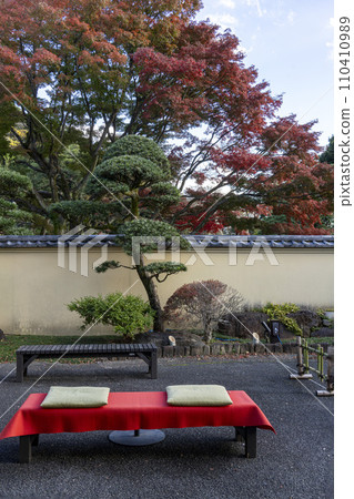 文京區肥後細川庭園，猩紅色的地毯與叉木的綠色和楓樹的紅色相得益彰。 110410989