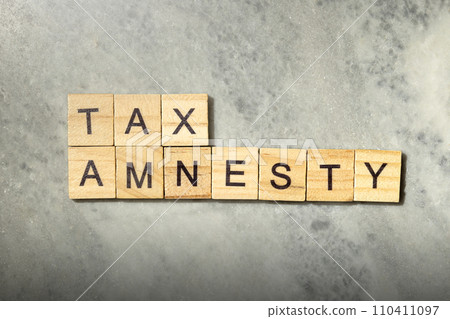 Wooden cubes with TAX AMNESTY letters 110411097