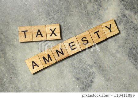 Wooden cubes with TAX AMNESTY letters 110411099