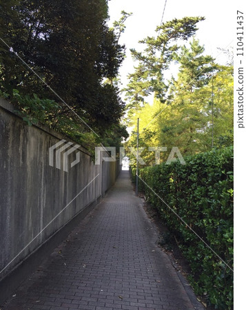 Path leading to the sea 110411437