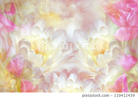 White chrysanthemums flowers on white background. Closeup. Floral spring background. Nature. White chrysanthemums flowers on white background. Closeup. Floral spring background. Nature. 110412439