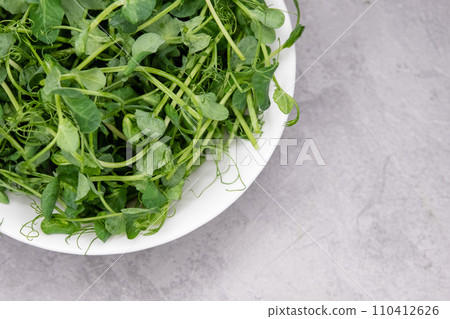 Sprouted peas seeds micro greens. Vitamin dietary microgreen of peas. Sprouted peas seeds micro greens. Vitamin dietary microgreen of peas. 110412626
