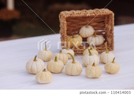 Mini pumpkins spill from basket on white surface. Mini pumpkins spill from basket on white surface. 110414003