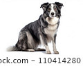 Black and white border collie sitting, isolated on white background. AI generated 110414280