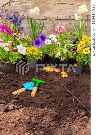 Spring garden decoration with flowers 110414559