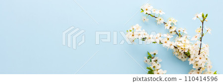 Festive background with spring flowers Festive background with spring flowers 110414596
