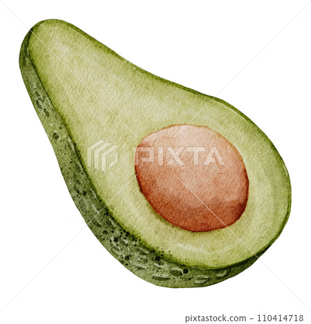 Avocado Watercolor illustration. Hand drawn clip art on isolated white background. Drawing of Half a Fruit with a seed. Vegetable botanical painting for food packaging design. Sketch of a plant. Avocado Watercolor illustration. Hand drawn clip art on isolated white background. Drawing of Half a Fruit with a seed. Vegetable botanical painting for food packaging design. Sketch of a plant. 110414718