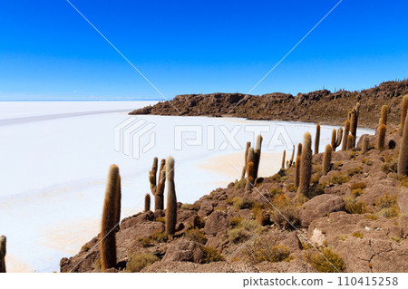Salar de Uyuni view from Isla Incahuasi 110415258