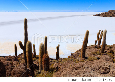 Salar de Uyuni view from Isla Incahuasi Salar de Uyuni view from Isla Incahuasi 110415259
