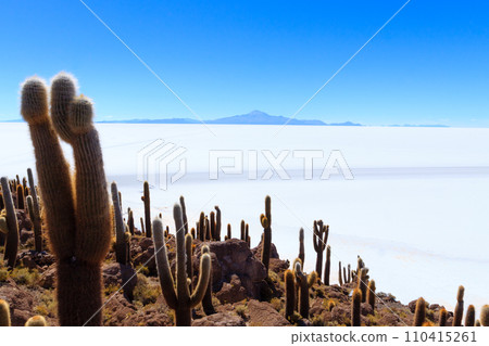 Salar de Uyuni view from Isla Incahuasi 110415261