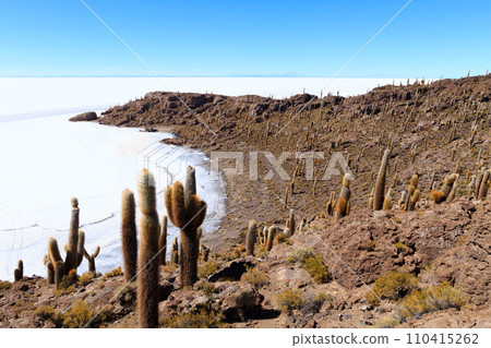 Salar de Uyuni view from Isla Incahuasi 110415262