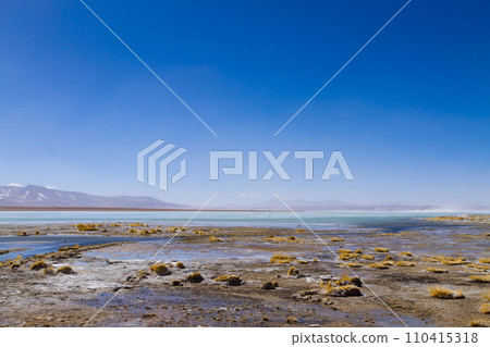 Bolivian lagoon landscape,Bolivia Bolivian lagoon landscape,Bolivia 110415318