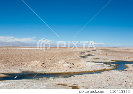 Flamingo natural reserve, Chile 110415553