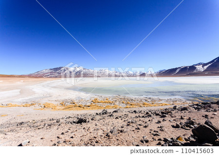 Laguna Blanca landscape,Bolivia Laguna Blanca landscape,Bolivia 110415603