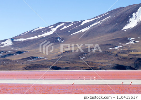 Laguna Colorada view, Bolivia 110415617