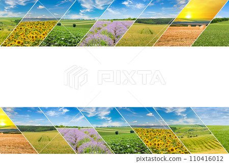 Panoramic view of green field and blue sky. Collage. Free space for text. Panoramic view of green field and blue sky. Collage. Free space for text. 110416012