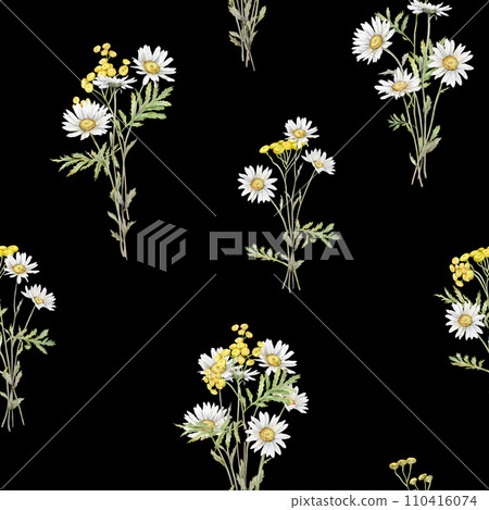 Seamless pattern Watercolor Daisy and tansy. Hand drawn illustration of Chamomile. bouquet of white blossom flowers on isolated background. Drawing botanical clipart invitation cards. Paint wildflower 110416074