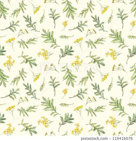 Seamless pattern watercolor common tansy. Yellow field flowers. Hand drawn illustration isolated background. Wallpaper with botanical medicinal wildflowers 110416076