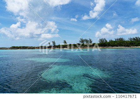 Bahamas Islands Green Cay 110417671